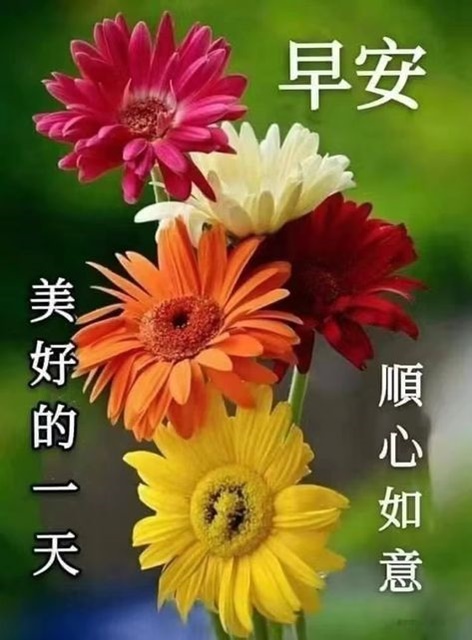 按我可連結至更清楚的圖片